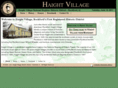 haightvillage.org