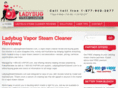 ladybugsteamcleaners.com