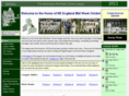 midweekcricket.com