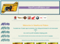 newfoundriders.com