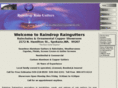 raindropraingutters.com
