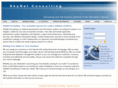 skynetconsulting.com