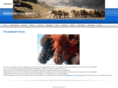 windsongicelandics.com