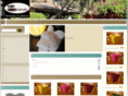 brandybali.com