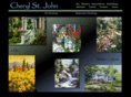 cherylstjohn.com