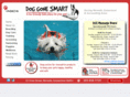 doggonesmart.com