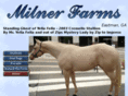 milnerfarmshorses.com