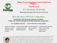 newstrategiesmarketing.com
