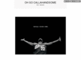 callahandsomer.com