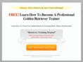 golden-retriever-training.com