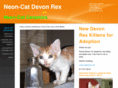 neon-cat.com