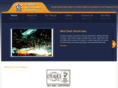 cosmoselectrodes.com