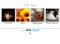 thedigipix.com