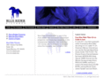 blueriderentertainment.com