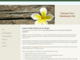 embraceimbalance.com