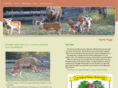 herfordhogs.com