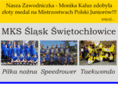 slaskswietochlowice.org