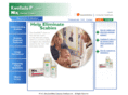 scabiesguide.com