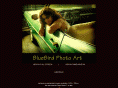 bluebirdphotoart.com