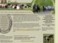 bbquarterhorses.com