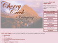 cherrycreekimaging.com