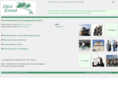 divi-event.com