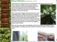 dysartwoods.org