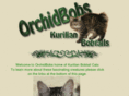 kurilianbobtails.com