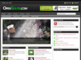 opengolfer.com