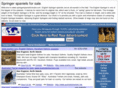 springerspanielsforsale.com