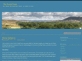 thepinchpoint.com