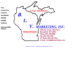 blvmarketing.com