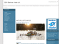 berlinerhaie.com
