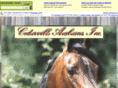 cedarvillearabians.com