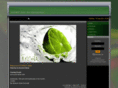 econect-ibiza.com