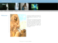 nadinesures.com