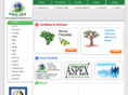 projexconsultoria.com