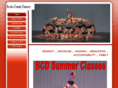 berriencountydancers.com