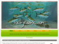 dragonflyexpressions.com