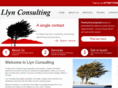 llynconsulting.com