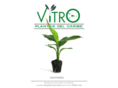 vitroplantasdelcaribe.com