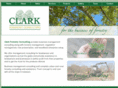 clarkforestryconsulting.com