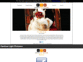 cantinalight.com