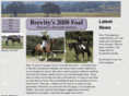 dressageendeavor.com