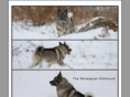elkhound.com