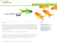 freshlubbockdesign.com