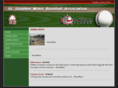 ststephenminorbaseball.com