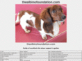 thealbinofoundation.com