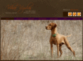 viharvizsla.com