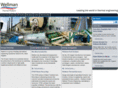 wellman-process.com